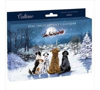 Dog Treat Advent Calendar Traditional Xmas Tree - 24 Door Pet Christmas Novelty