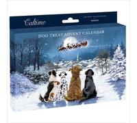 Dog Treat Advent Calendar Traditional Xmas Tree - 24 Door Pet Christmas Novelty