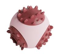 Dog Treat Ball Bite Resistant Pet Food Dispenser Toy