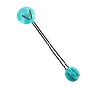 Dog Treat Ball - Interactive Dog Treat Toys, Dog Treat Balls, Dog Treat Ball Toys, Elastic Interactive Chew Toy for Large Dogs, Medium Dogs, Small Dogs