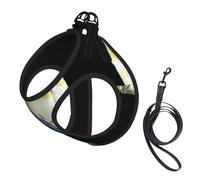 Dog Two Birds Printed Harness And Leash Set,Adjustable,Breathable Soft,Step-In Mesh Pet Vest Harness With Reflective Strip