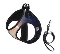 Dog Universe Galaxy Outer Space Printed Harness And Leash Set,Adjustable,Breathable Soft,Step-In Mesh Pet Vest Harness With Reflective Strip
