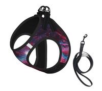 Dog Universe Galaxy Printed Harness And Leash Set,Adjustable,Breathable Soft,Step-In Mesh Pet Vest Harness With Reflective Strip