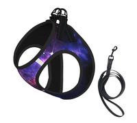 Dog Universe Galaxy Star Space Printed Harness And Leash Set,Adjustable,Breathable Soft,Step-In Mesh Pet Vest Harness With Reflective Strip