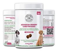 Dog Urinary Health Supplements 60 Soft Chews | Antibiotic Remedy | Stimulates Immune System & Maintains Overall Health | Cranberry & Echinacea | Wheat Free | Veterinarian Formulated