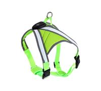 Dog USB Rechargeable LED Training Harness for Training Walking Anti Escape Belt for Large Small Dogs Rope Heavy Duty Walk Harness