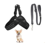Dog Vest Harness, All Weather Breathable Soft Mesh with Training Dog Leash, Y Shape No Pull Escape Proof Reflective Dog Strap Harness Easy Control for Small Medium Dogs,Black,S