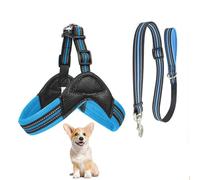 Dog Vest Harness, All Weather Breathable Soft Mesh with Training Dog Leash, Y Shape No Pull Escape Proof Reflective Dog Strap Harness Easy Control for Small Medium Dogs,Blue,XS