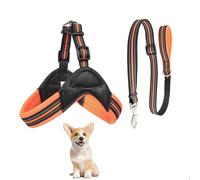 Dog Vest Harness, All Weather Breathable Soft Mesh with Training Dog Leash, Y Shape No Pull Escape Proof Reflective Dog Strap Harness Easy Control for Small Medium Dogs,Orange,L