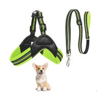 Dog Vest Harness, All Weather Breathable Soft Mesh with Training Dog Leash, Y Shape No Pull Escape Proof Reflective Dog Strap Harness Easy Control for Small Medium Dogs,Green,XS