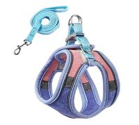 Dog Vest Harness Decorative Training Vest for Large Dogs, D S | Padded Belt for Training Walking Swimming Hiking Running Decorative Training Vest Pet Supplies Comfortable