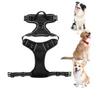 Dog Vest Harness No-Choke Easy Control Heavy Duty 2 Lead Clips