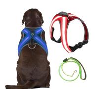 Dog Vest Harnesses and Traction Rope for Led, Adjustable Pet Supplies, Easy Control Medium Large Dog Harness, Traction Rope Size 120 * 2.5Cm Trolley red