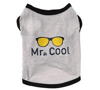 Dog Vest, Pet Autumn Winter Clothes, Big Brother Mr. Cool Pet Apparel, Dog Shirt, Fashionable Comfortable Warm Pet Outfit, for Outdoor Activities