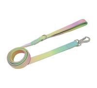 Dog Walking Accessories, Metal Swivel Lock Hook, Breeds All for Universal, Comfy Handle, 59 in Gradient Nylon Dog Leash