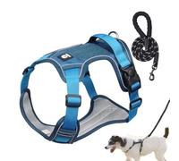 Dog Walking Harness, Dog Harness Set,Reflective Breathable Dog Harness Adjustable Dog Harness | Flexible Dog Pull Harness, Walking Collar Set, Trot