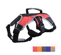 Dog Walking Lifting Carry Harness, Support Mesh Padded Vest, Accessory, Collar, Lightweight, No More Pulling, Tugging or Choking, for Puppies, Small Dogs (Red, X-Small), by Downtown Pet Supply