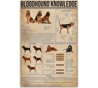 Dog Wall Art Bloodhound Knowledge Canvas Poster Anatomy Of A Bloodhound Paintings Frameless Posters And Prints For Classroom Library Wall Décor 8x12 inches