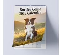 Dog Wall Calendar - Choice Of Sizes - A3 Border Collie Calendar - Dog Lovers Monthly Planner 2026
