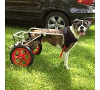 Dog Wheelchair - Adjustable Mobility Aid for Disabled Canines, Support Cart for Rehabilitation and Movement, 2-Wheel Pet Scooter