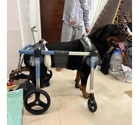 Dog Wheelchair Adjustable Pet Cart - 4 Wheels Mobility Aid for Front and Hind Limb Weakness, Perfect for Dog Rehabilitation