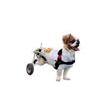 Dog Wheelchair Disabled Dog Assisted Large and Small Dog Hind Limb Paralysis Pet Cart (XXS - Pomeranian, Chihuahua)
