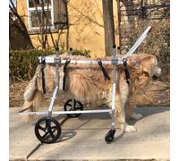 Dog Wheelchair, Dog Wheelchair Adjustable Mobility Aid for Front Back Legs Multiple(Size XXXL)