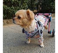 Dog Wheelchair Foldable Pet Cart Wheelchair, Cat/Doggie Animal Wheel Chairs, Dog Walking Aid with Upgraded All-Terrain Tires, Rehabilitation Pet Carts Durable (Size : Size XXS)