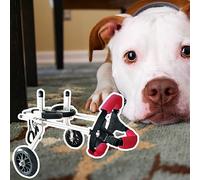 Dog Wheelchair for Back Legs - 2-Wheel Mobility Cart for Disabled Dogs, Pet Recovery Support for Puppies, Medium Size