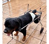Dog Wheelchair for Back Legs - Adjustable Foldable Mobility Cart for Dogs - Comfortable Rehab Aid for Recovery - Easy Assembly & Custom Fit for Small to Large Bs