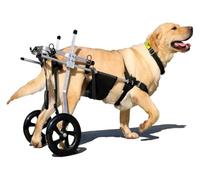 Dog Wheelchair for Back Legs Pet Mobility Cart for Dogs Hind Leg Support Walker with Wheels Dog Rehabilitation Aid Adjustable Size XXXL for Large Pets
