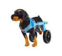 Dog Wheelchair for Disabled Dogs | 2-Wheel Mobility Aid for 4.4-20 Lbs | Support for Stroke & Arthritis | Pet Recovery Cart for Hind Leg Assistance (S)