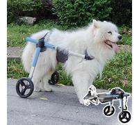 Dog Wheelchair for Disabled Dogs with Weak Hind Legs, Adjustable for All Bs, Lightweight Mobility Aid, Enhance Quality of Life for Pets