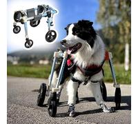 Dog Wheelchair for Disabled Pets - 4 Wheels Mobility Aid, Full Support Leg Braces for Injured Dogs, XS/S/M/L/XL/XXL Enhance Mobility & Quality of Life(Size M)