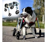 Dog Wheelchair for Disabled Pets - 4 Wheels Mobility Aid, XS-XXL Sizes, Full Support for Injured & Handicapped Dogs, Adjustable Leg Braces for Improved Mobility