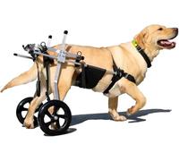Dog Wheelchair for Disabled Pets - Adjustable Mobility Cart for Improved Movement and Quality of Life, Lightweight Support for Dogs with Wheelchair Wheels