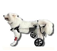 Dog Wheelchair for Disabled Pets - Adjustable Mobility Cart for Medium Dogs & Cats, Hind Legs Support Metal Rehabilitation Aid for Limited Mobility