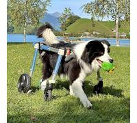 Dog Wheelchair for Disabled Pets, Adjustable Support Cart for Small to XXL Dogs, Mobility Aid for Canines with Limited Mobility, Pet Rehabilitation Device