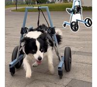 Dog Wheelchair for Disabled Pets, Front Leg Support with 4 Wheels for Small to Medium Dogs, Adjustable Mobility Aid for Canine Rehabilitation and Independence