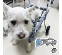 Dog Wheelchair for Disabled Pets - Lightweight 2-Wheel Mobility Cart for Small to Medium Dogs & Cats (3-27 lbs) - Aids in Healing & Movement