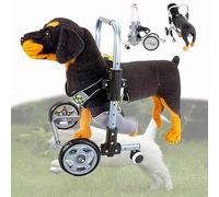 Dog Wheelchair for Front Legs, Silla De Ruedas Para Perros, Dog Mobility Aids for Walking, 4 Wheeled Adjustable Height Metal for Walking and ExerciseGrey,S