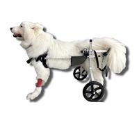 Dog Wheelchair for Medium/Large Dogs 33-132 Lbs - Back Leg Mobility Cart, Support for Weak Hind Legs, Pet Exercise & Training Aid, Enhance Dog Walking & Mobility