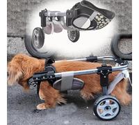Dog Wheelchair for Paralyzed Dogs 2 Wheel Mobility Aid for Small & Medium Pets Adjustable Size Comfortable Support for Disabled Animals Enhance Mobility & Quality of Life