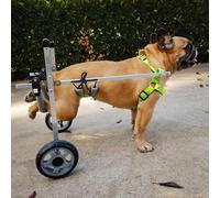 Dog Wheelchair for Small Pets - Adjustable Mobility Aid Trolley for Back Legs, Suitable for Shih Tzu and Medium Breeds, Outdoor Use for Injured Dogs