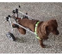 Dog Wheelchair for Small Pets - Lightweight Mobility Aid for Back Leg Support & Exercise, Ideal for Puppies & Kittens, Enhanced Comfort Design