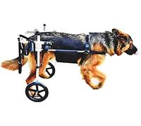 Dog Wheelchair for Small Pets, Stainless Steel 2-Wheel Rear Leg Rehabilitation Cart, Adjustable Support for Dogs, Enhanced Mobility Aid for Disabled Animals