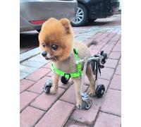 Dog Wheelchair - Full Support 4-Wheel Lightweight Pet Trolley for Small/Medium Dogs & Cats, Adjustable Harness for Animal Rehabilitation & Exercise