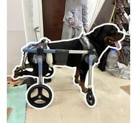 Dog Wheelchair - Full Support Pet Cart with Removable Front Wheel, Ideal for Rear & Front Leg Mobility Aid, Durable & Adjustable Dog Mobility Solution