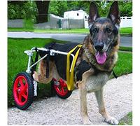 Dog Wheelchair - Hind Leg Support Cart for Large Dogs, Mobility Aid for Back Leg Rehabilitation, Includes Help Em Up Harness for Enhanced Comfort & Mobility