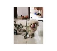 Dog Wheelchair Light Weight Dog Wheel Chair Mobility Aids, Full Support Rehabilitation Cart For Animal Hip Support, Disabled Doggy Assisted Wheels, Easy Assemble(XXS)